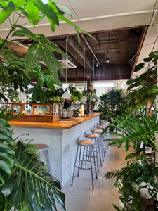 観葉植物ショップ