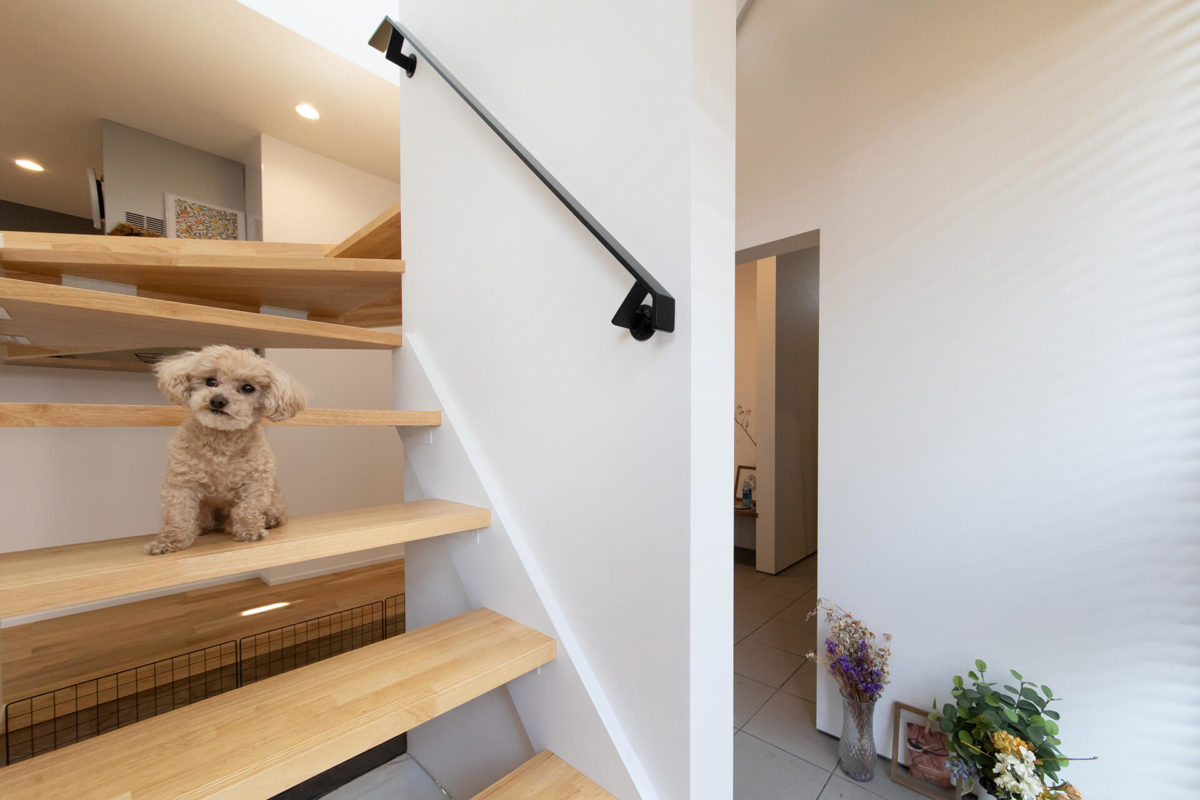 床材はペットにも優しい無垢の床を採用