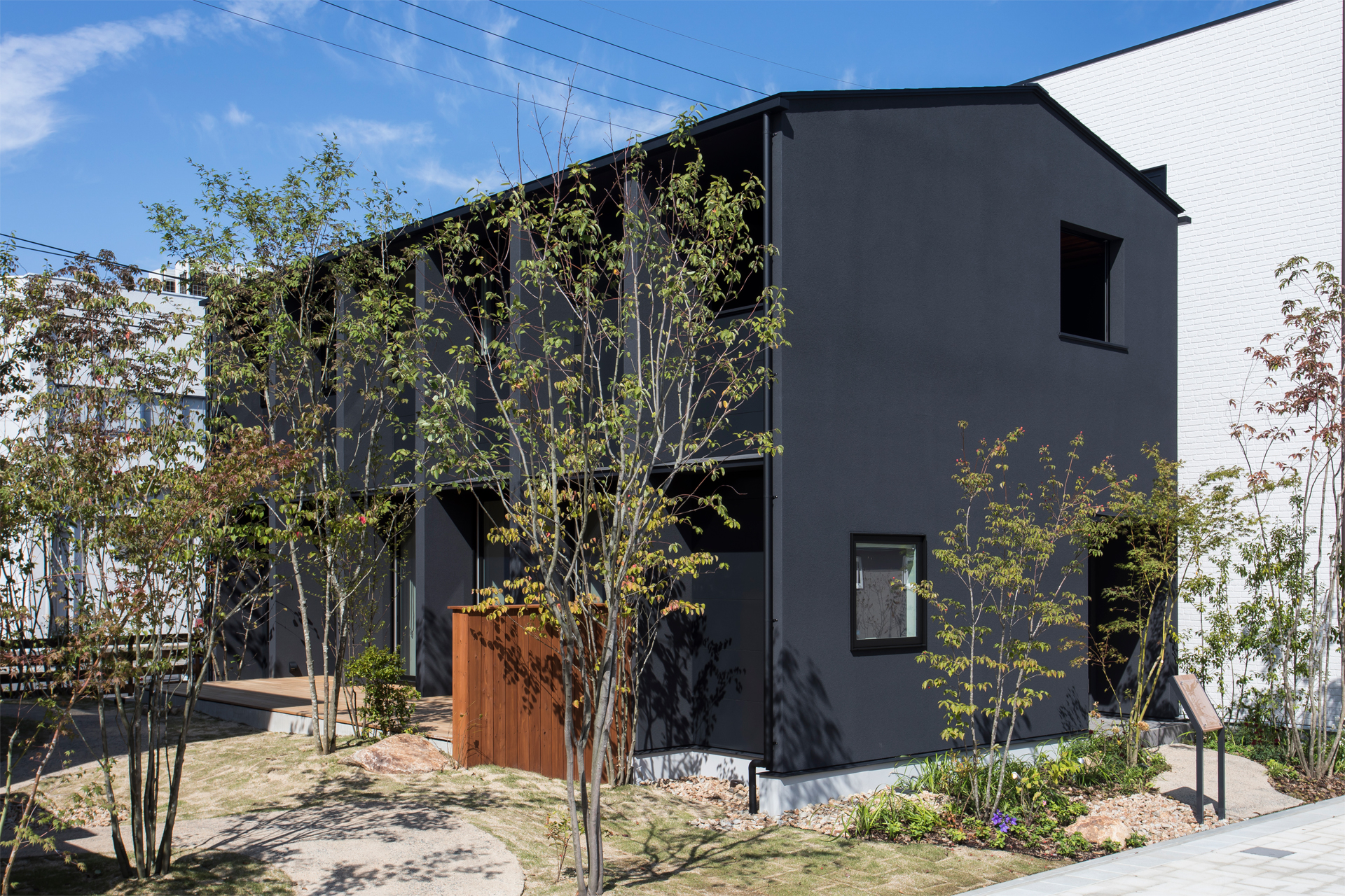 光・風・木と調和する、五感で感じるお家