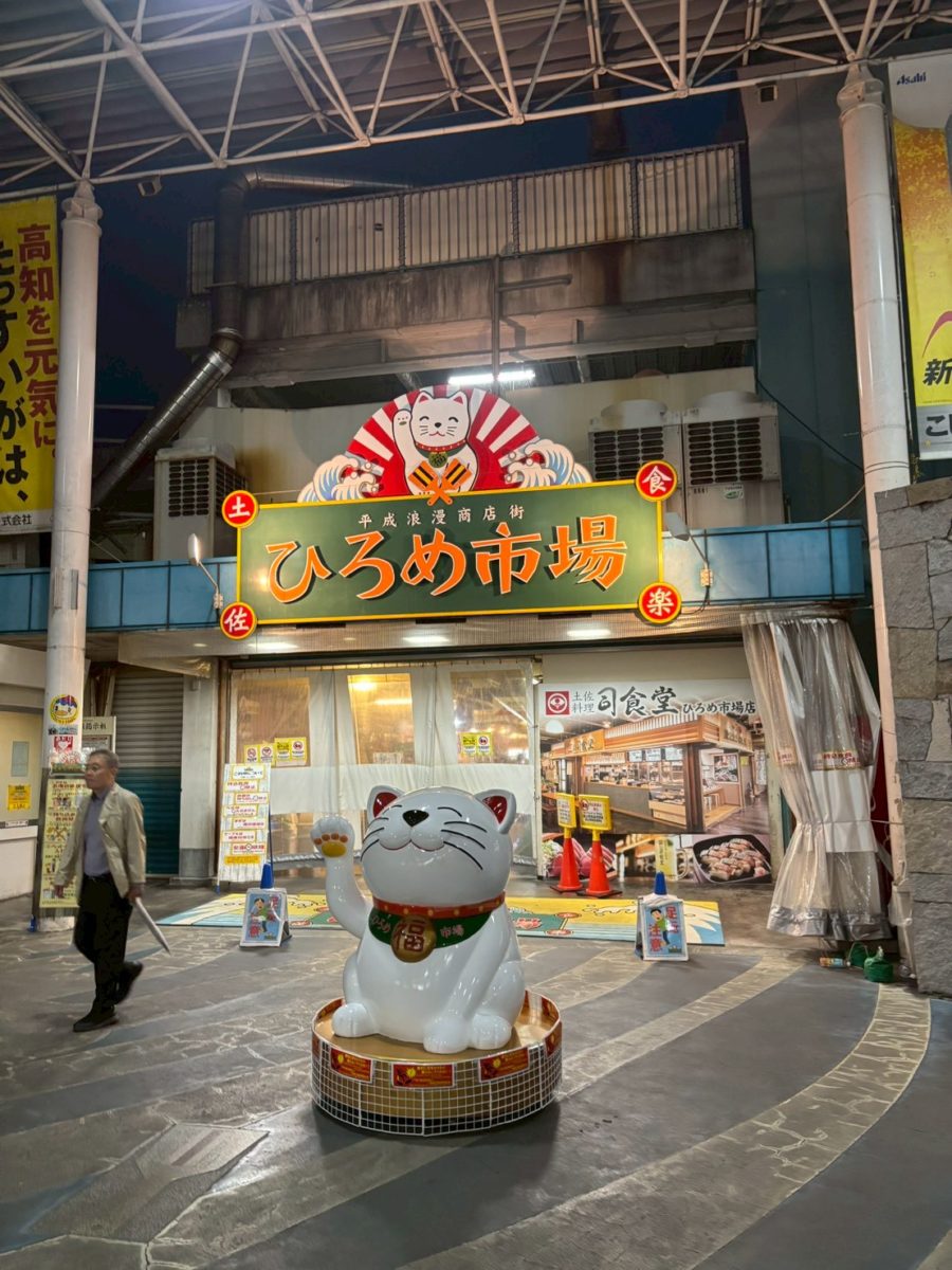 思い出の地、高知に行ってきました