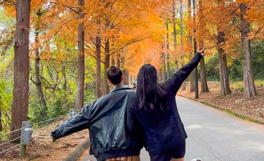 滑り込みで紅葉を楽しんできました