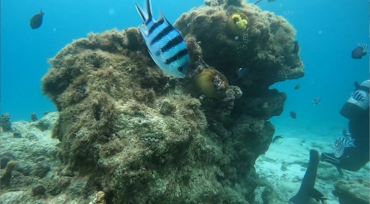4泊5日の沖縄旅行に行ってきました