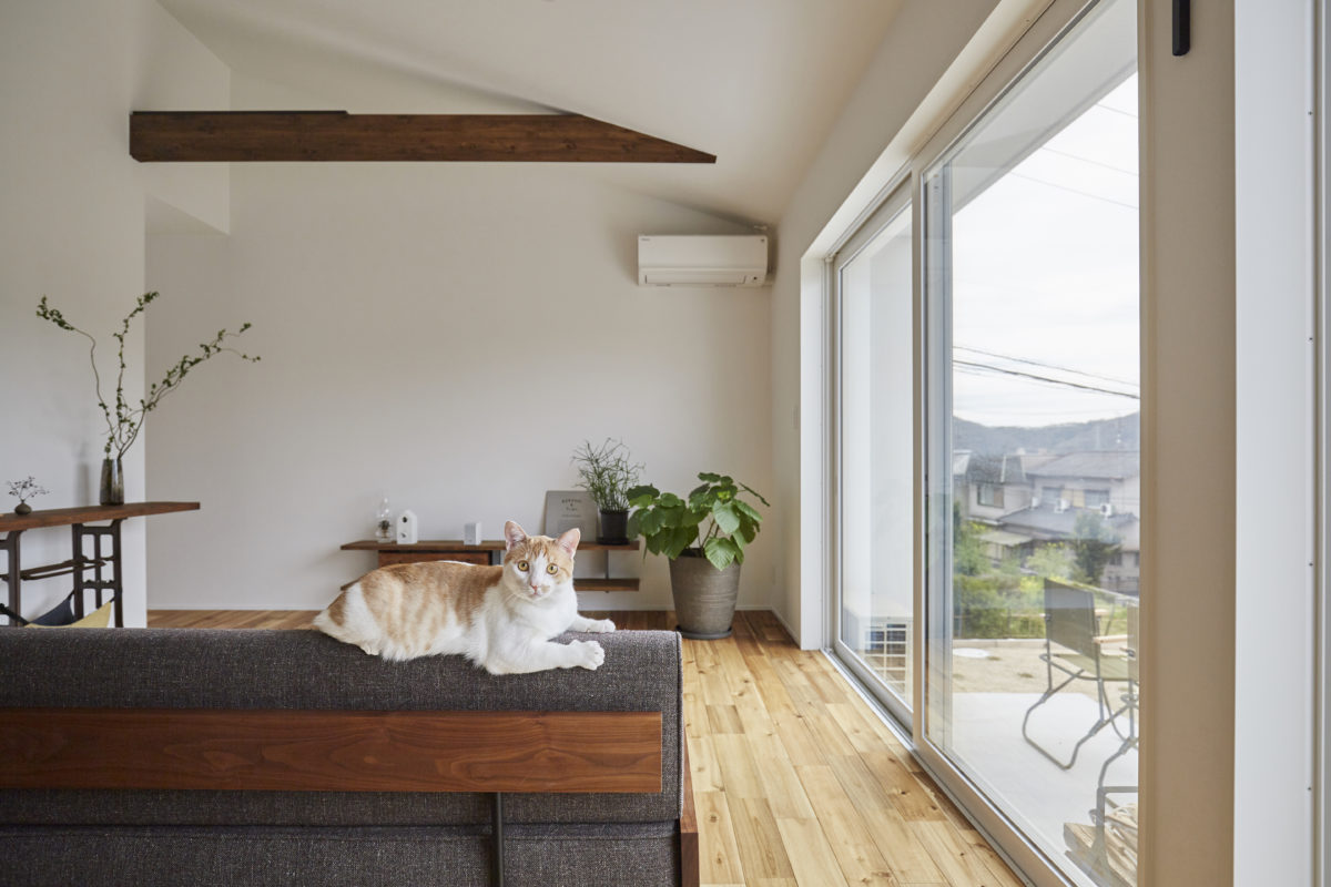 人とペットの快適な暮らしを求めて