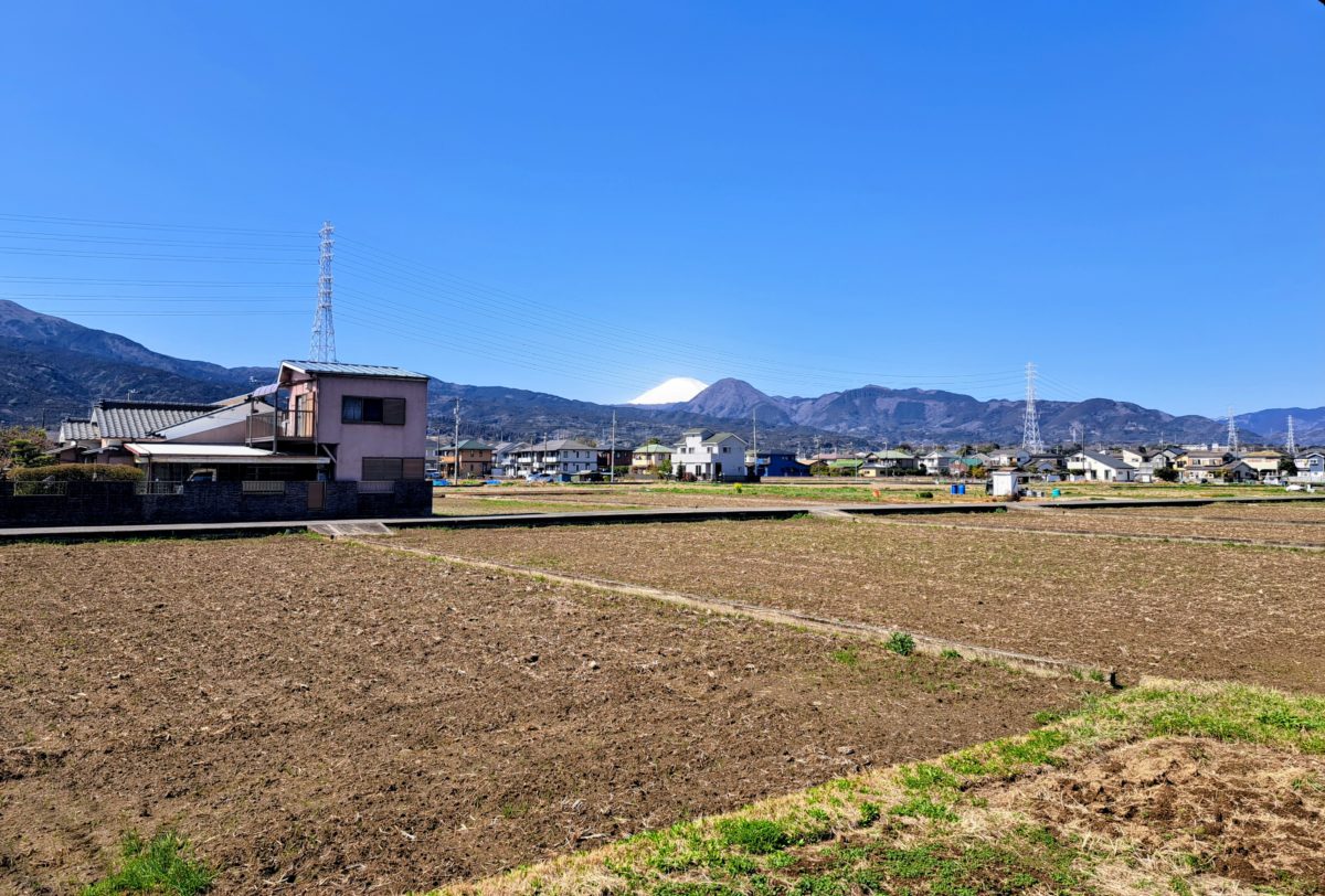 【要注意】津山市で田んぼ・畑に家は建てられる？「農振・農転」を分かりやすく解説