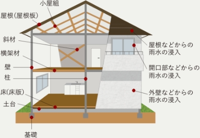 保証の対象となる部分