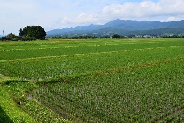 お家づくりのタイミングとは