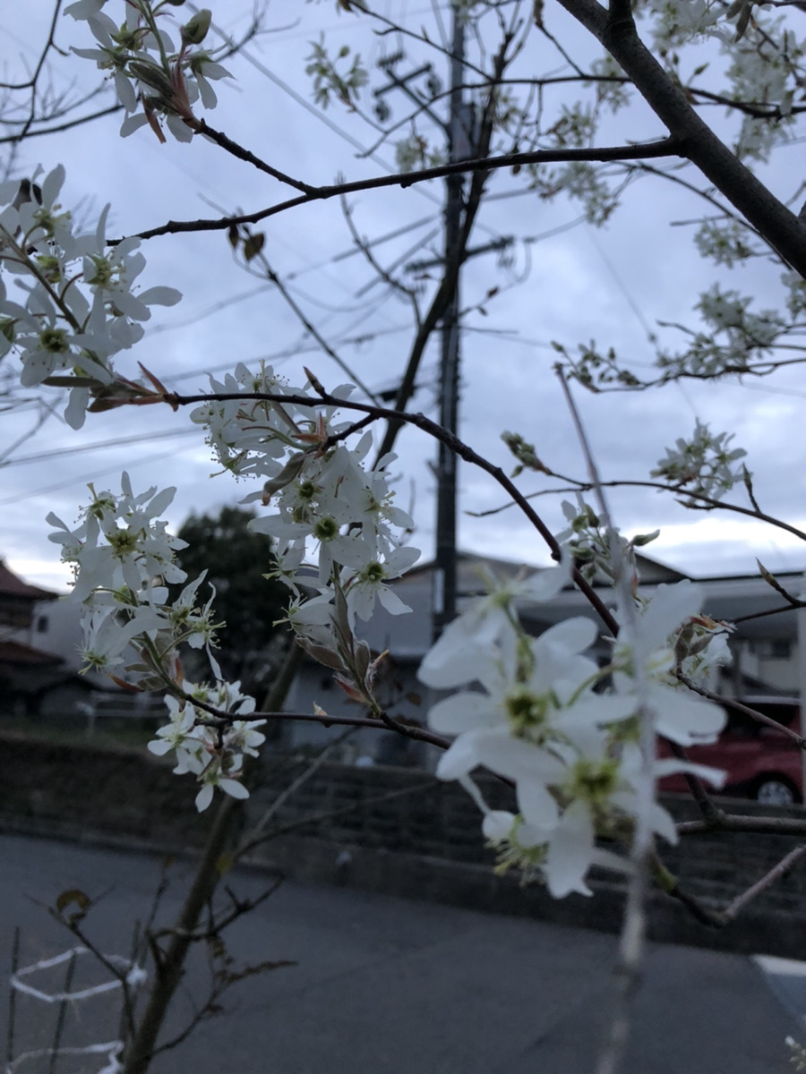 大満足 アイチャッチ