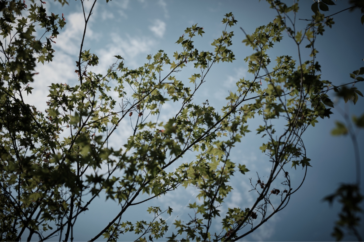 敷地に足を運ぶことから始まる