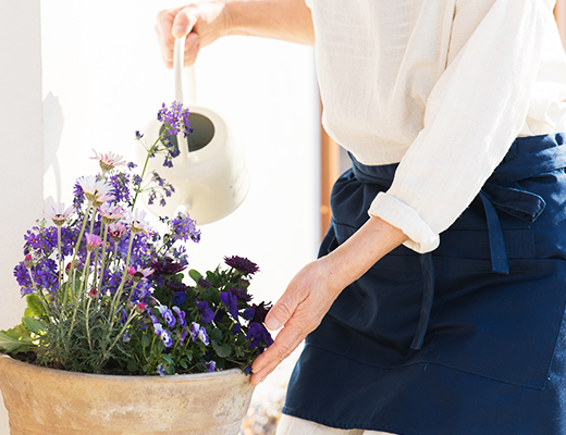 花に水を与える女性