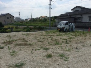 初めての地縄張り アイチャッチ