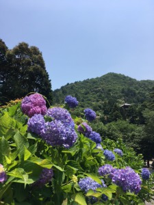 建築と音楽と♪ アイチャッチ